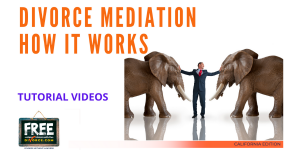 Video #39 - Working with a Mediator