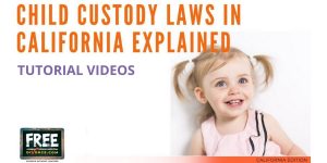 Video #24 - Getting Educated - Child Custody