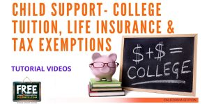 Video #30 - Getting Educated - Child Support PART 6 (Miscellaneous Issues)