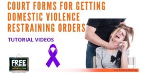 Video #67 - Domestic Violence Restraining Orders PART 2 (Initial Filings)