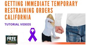 Video #68 - Domestic Violence Restraining Orders PART 3 (More Initial Court Forms)